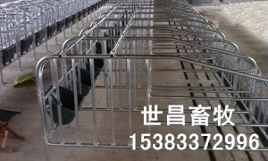 母豬定位欄廠家